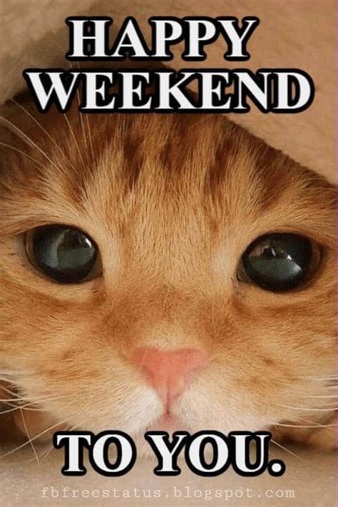 Funny & Happy Weekend Quotes With Images, Pictures | Happy weekend quotes, Weekend quotes, Happy ...