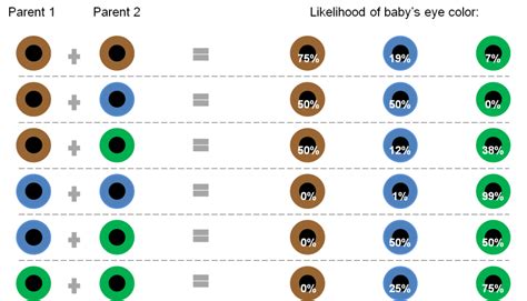 eye color genetics chart eye colors - sandwalk the genetics of eye color | eye color genotype ...