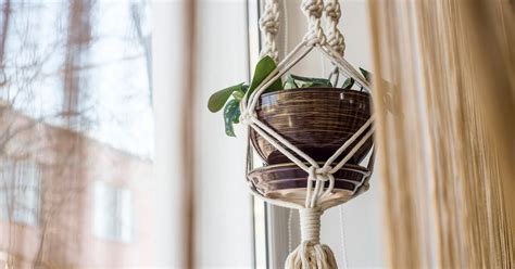 The 6 Best Hooks For Hanging Plants