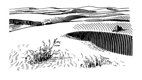 Drawing Beach Dune Sand Dunes Vector Free - Clip Art Library