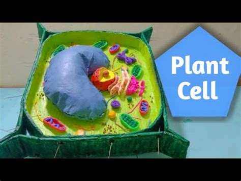 Plant Cell 3d Model Clay