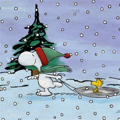 17 Best images about Snoopy/Peanuts Winter on Pinterest | Snow, Ice skating and Beagles