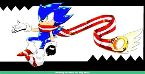 Sonic The Hedgehog In Roblox | Roblox Amino