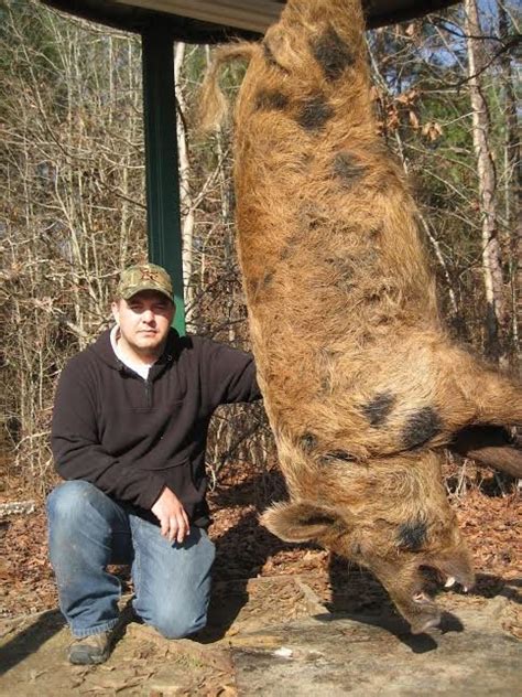 Woods-N-Water, Inc.: Wild boar hunting trip- most loved hunting sport in Georgia