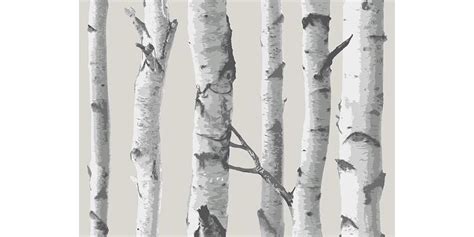 Birch Tree Peel & Stick Wallpaper