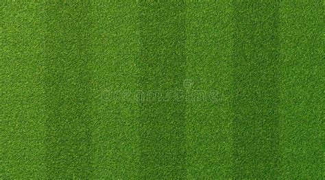 Green Grass Texture for Sport Background. Detailed Pattern of Green Soccer Field or Football ...