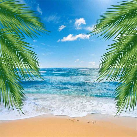 Beautiful Beach Computer Printed Photography Backdrop ZJZ-752 | Beach backdrop, Background, Beach