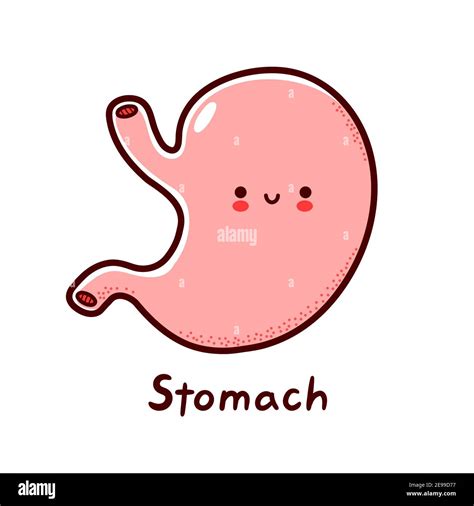 Cute happy funny human stomach organ character. Vector flat line cartoon kawaii character ...