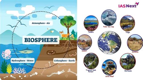 All about Biosphere, Habitat and Biome