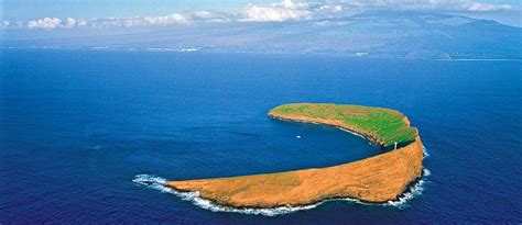 Snorkel Molokini Crater Maui Hawaii with Four Winds II