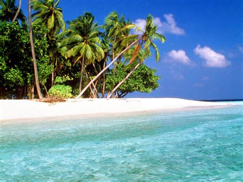 World Visits: Tropical Island Beach Wallpaper Free Review