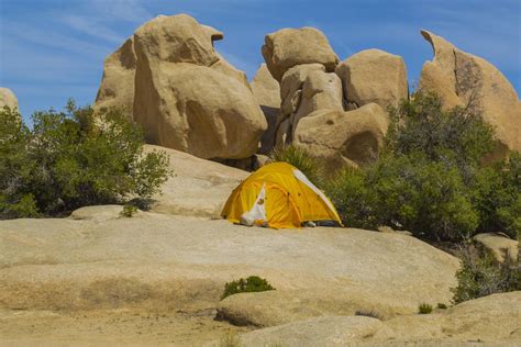 Best Campground In Joshua Tree | Just Van Life