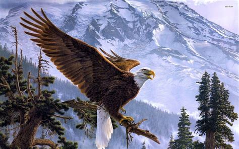 Bald Eagle Wallpapers - Wallpaper Cave