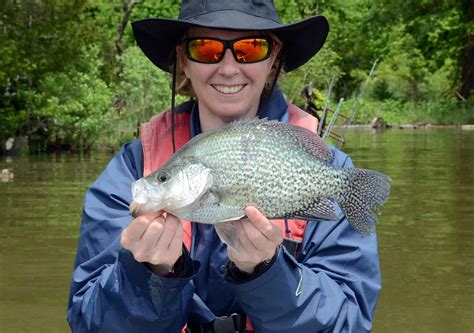 Crappie Size Comparison: Just How Big Do They Get? - A-Z Animals