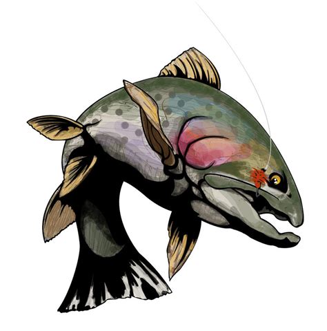 cutthroat trout-color graphic by stycotl on DeviantArt