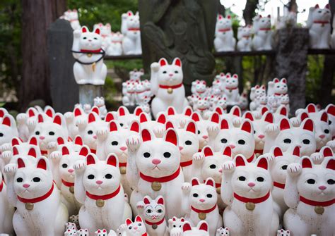 Cat snap: Tokyo 'lucky cat' temple draws Instagrammers, Travel News - AsiaOne