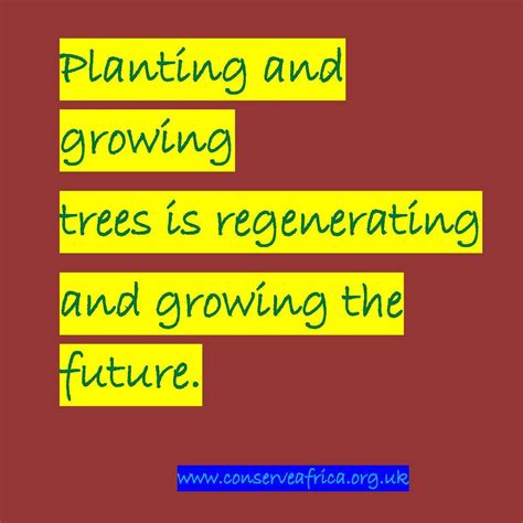 Planting trees | Environment quotes, Tree quotes, Trees to plant