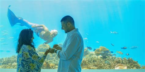 An Underwater Wedding Proposal in the Maldives - Arabia Weddings