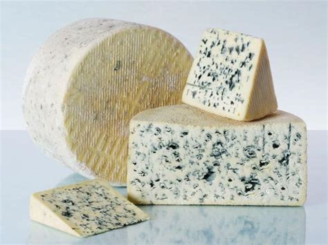 Cheesemaking: How To Make Bleu d'Auvergne - Shislers Cheese House