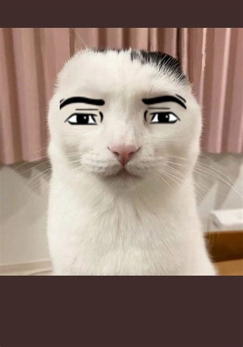 Roblox Man Face Cat