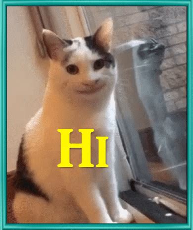 Cat Says Hi And Hello To You. Free Hi-hello eCards, Greeting Cards | 123 Greetings