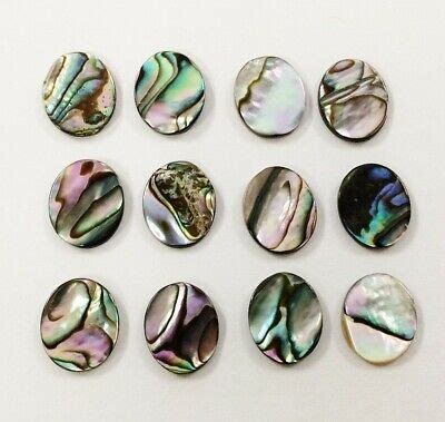 Mother of Pearl VS Abalone- The Key Differences You Did Not Know - How Gem