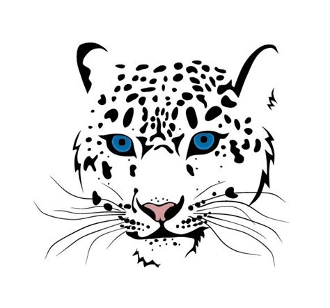 Cheetah Vector at Vectorified.com | Collection of Cheetah Vector free ...