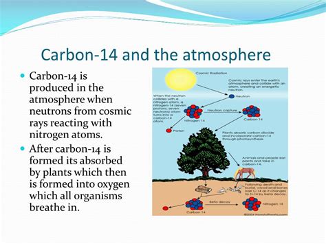 PPT - Carbon Dating PowerPoint Presentation, free download - ID:5849821