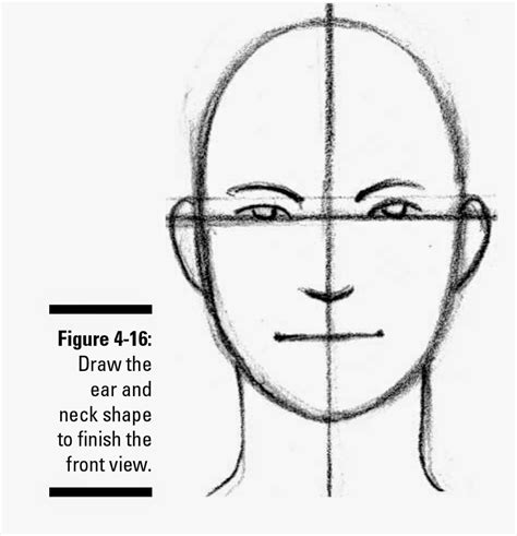 Face Proportions Drawing Worksheet