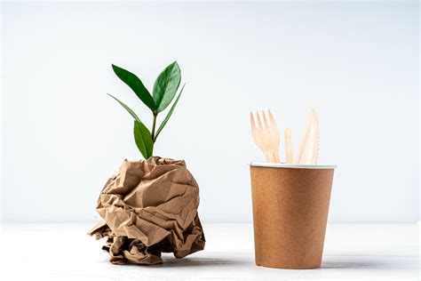 Biodegradable packaging products: 4 reasons to choose them