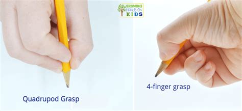 Pencil Grasp Development Handout for Parents, Educators, and Therapists