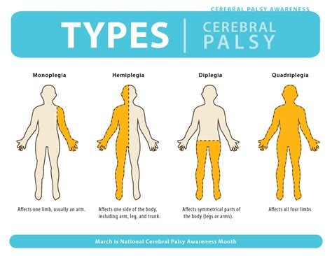 Types of Cerebral Palsy Infographic | Fork, Needle, Pen