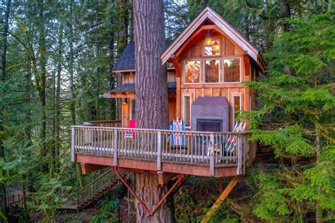 Tree House Design Ideas That Will Make You Feel Amazing