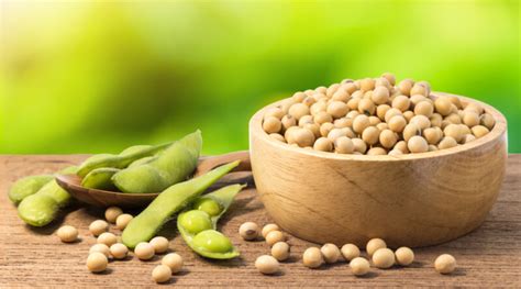 Super Cool Soybeans Recipes - Vaya Recipes