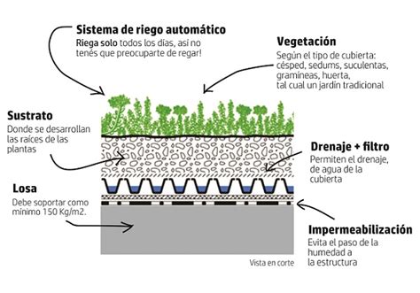 Techos verdes