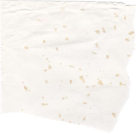 ripped white paper texture 9826656 PNG