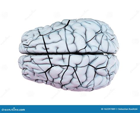 A Broken Human Brain Royalty-Free Illustration | CartoonDealer.com #162297906