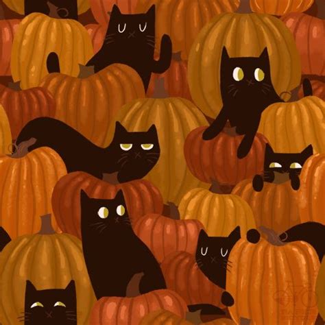 Cat And Pumpkin Wallpaper | Wall Loft