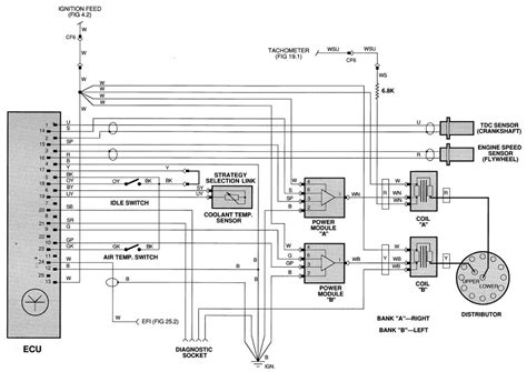 Jaguar Xjs V12 Engine Wiring Diagram | Home Wiring Diagram