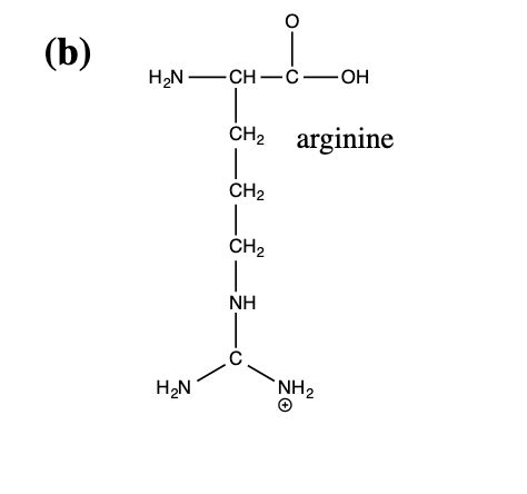 Lewis structure and resonance for arginine ion - Chemistry Stack Exchange