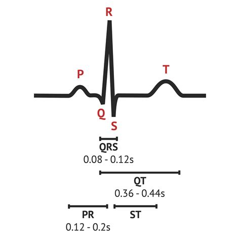 The Normal ECG Trace | ECG Basics - MedSchool