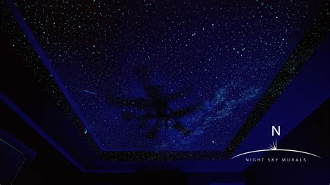 Star Ceilings, Star Murals, Night Sky murals, Night Sky Ceilings (Pictures) : r/StarCeilings