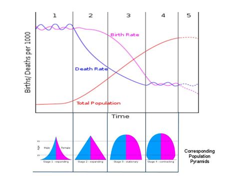 humans - Graphs for understanding population dynamics - where to find ...