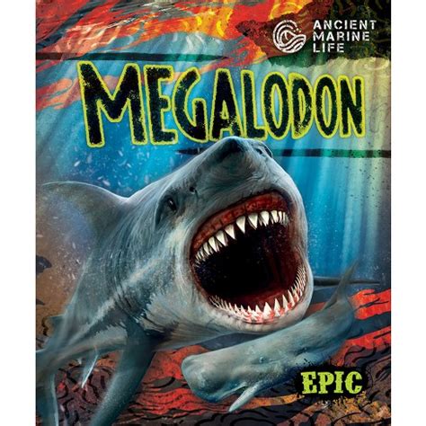 Megalodon - (ancient Marine Life) By Kate Moening (paperback) : Target