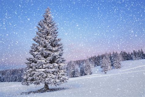 Snow Falling Wallpaper