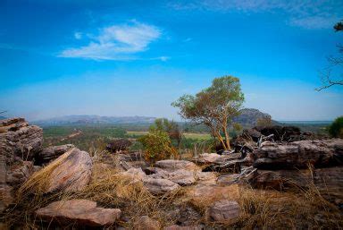 Arnhem Land Culture and Heritage Four-Wheel Drive Tour - Kated