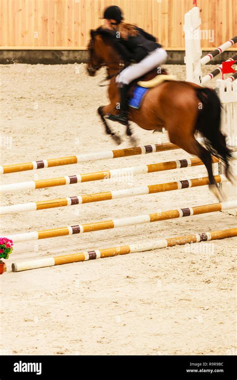 Equitation. Riding competition. Show jumping, horse and rider over jump Stock Photo - Alamy