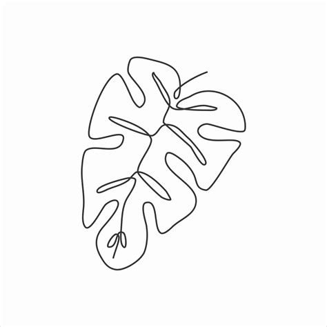 one line drawing of monstera leaf. continuous line art 2873642 Vector Art at Vecteezy