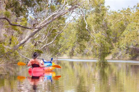 Your Complete Guide to Kayak Camping in the Upper Noosa River