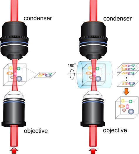 Raman imaging with Bessel beam enables deep-tissue imaging | Spectroscopy Europe/World